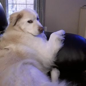 Meet your Posher, Kimberly